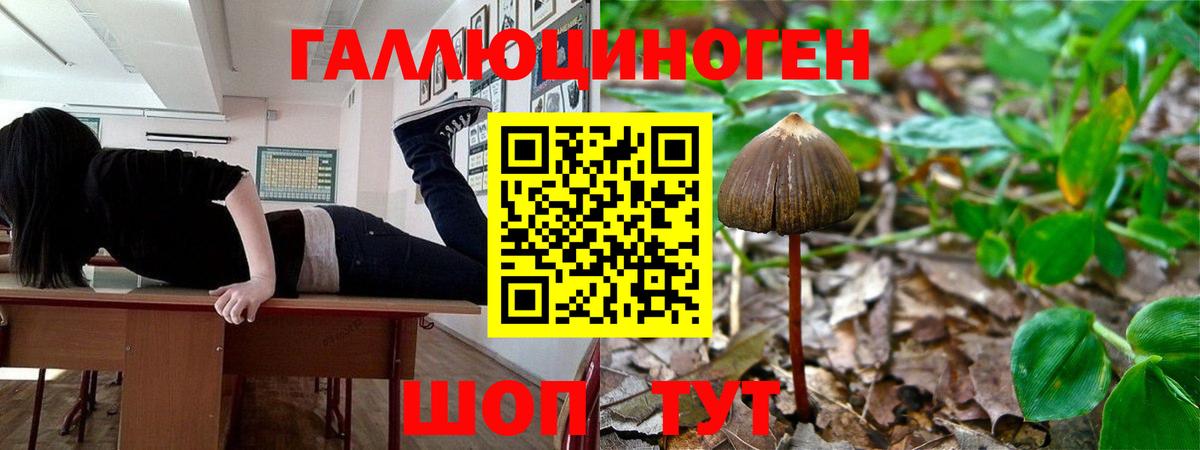 Галлюциногенные грибы MAGIC MUSHROOMS  Вход с VPN  Белогорск  Псилоцибиновые грибы ЛСД 